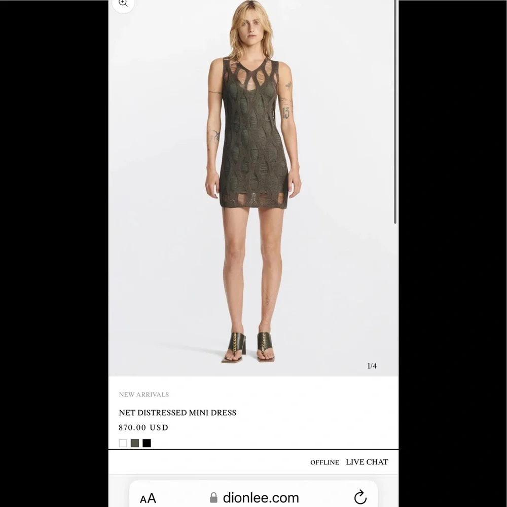 2022 spring Dion Lee NET DISTRESSED MINI Dress - Picture 1 of 12